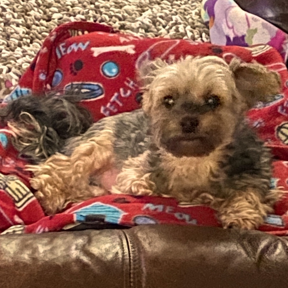 Meet your Posher, Edwin